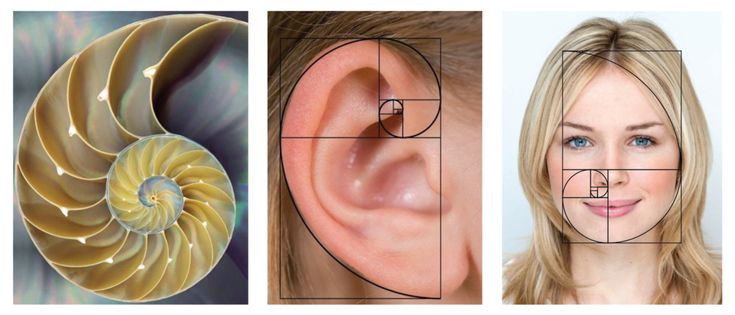 17a405685f330862a30d515eeef06cff 1